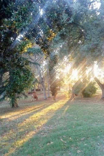 location vacances St andre de cubzac
