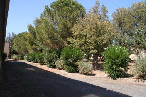 location vacances Ile rousse